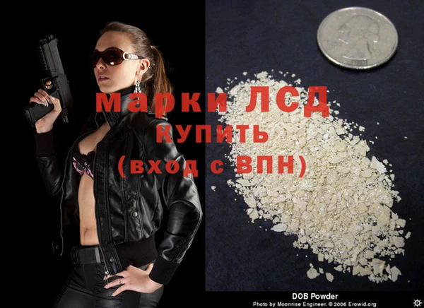 стаф Осташков