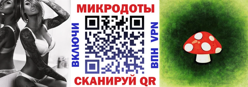 Галлюциногенные грибы Psilocybine cubensis Почеп