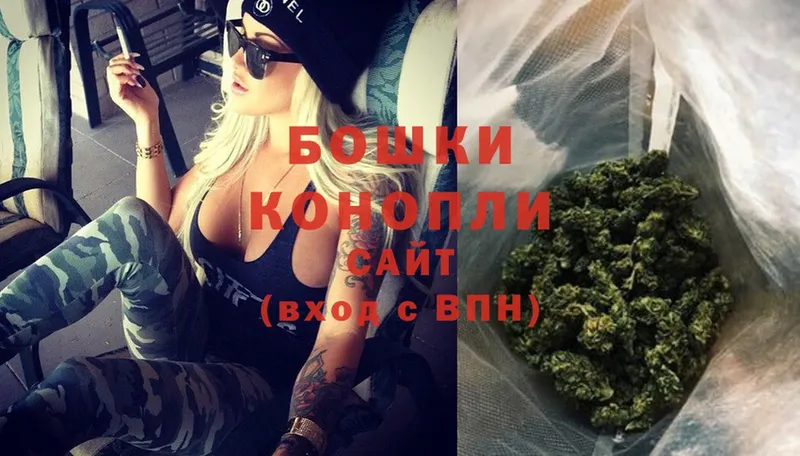 Бошки марихуана OG Kush  Почеп 